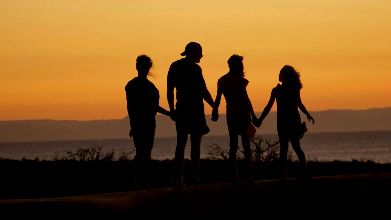 Família de mãos dadas em silhueta ao pôr do sol